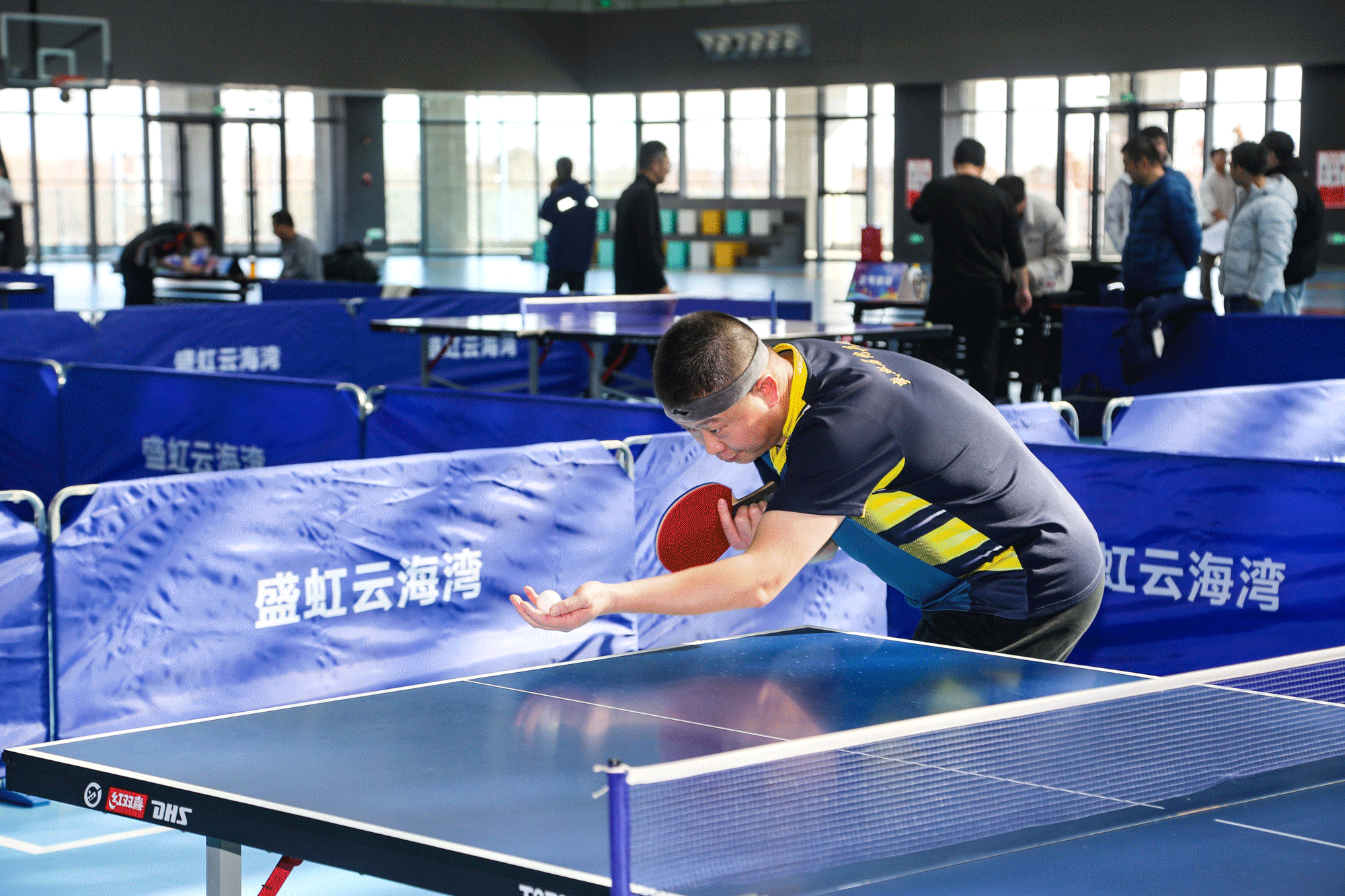 50804030-7aa0a28bb39b5baf.gif