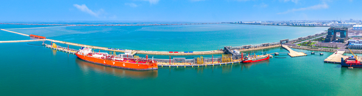 1200x320盛虹港儲.jpg